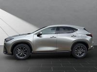 Neu Lexus NX350h Business Edition 243 PS (178 kW) 2025 Weiss SUV