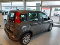 gebraucht Fiat Panda Panda