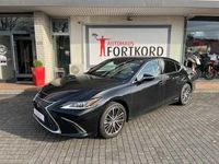 Gebraucht Lexus ES300H Executive Line 218 PS (160 kW) 2022 Schwarz metallic Limousine