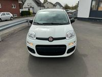 gebraucht Fiat Panda Hybrid Klima