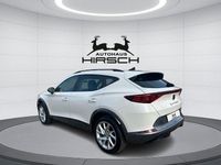 Gebraucht Cupra Formentor 150 PS (110 kW) 2023 Weiß SUV