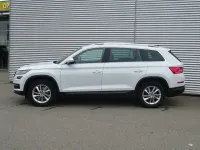 Gebraucht Skoda Kodiaq Style 180 PS (132 kW) 2018 Moonweiss metallic SUV