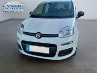 Neu Fiat Panda 71 PS (52 kW) 2025 Weiss Kleinwagen