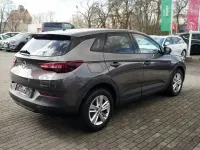 Gebraucht Opel Grandland X 131 PS (96 kW) 2019 Grau SUV
