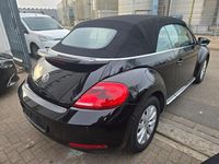Gebraucht VW Beetle Cabriolet Design 105 PS (77 kW) 2013 Schwarz Cabrio