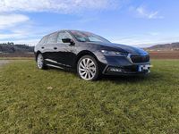 Gebraucht Skoda Octavia 150 PS (110 kW) 2020 Kombi