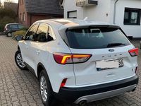 Gebraucht Ford Kuga Trend 120 PS (88 kW) 2020 Weiß SUV