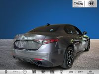 Gebraucht Alfa Romeo Giulia Premium 209 PS (153 kW) 2024 Grau Limousine