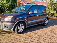 Gebraucht Ford Fusion 101 PS (74 kW) 2011 Violet Kleinwagen