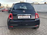 Gebraucht Fiat 500 Basis 69 PS (50 kW) 2023 Schwarz Kleinwagen