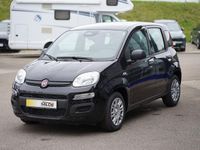 Neu Fiat Panda 69 PS (50 kW) 2025 Schwarz Kleinwagen