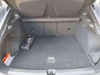 Usata Cupra Terramar 204 CV (150 kW) 2025 Grigio SUV