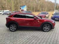 Gebraucht Mazda CX-30 Selection 186 PS (136 kW) 2019 Rot SUV