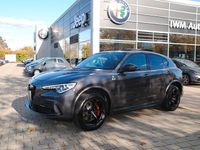 Gebraucht Alfa Romeo Stelvio Quadrifoglio 510 PS (375 kW) 2021 Grau SUV