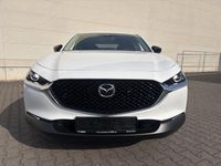 Neu Mazda CX-30 Homura-Line 140 PS (102 kW) 2026 SUV