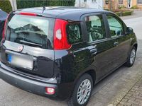 gebraucht Fiat Panda New1.2 8V EASY Klima,el.FH V, ZV, Servo,