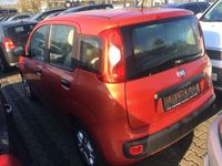 gebraucht Fiat Panda NEW1.2 8V LOUNGE,KLIMA,ALU,SERVO,ABS,EUR5