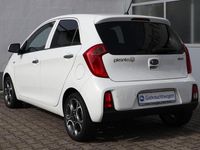 Gebraucht Kia Picanto Intro Edition 84 PS (61 kW) 2015 Weiß Kleinwagen