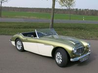 gebraucht Austin Healey 100/6 BN4 2+2 Sitzer Vollrestauration