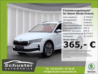 Neu Skoda Octavia 116 PS (85 kW) 2026 Weiss Kombi