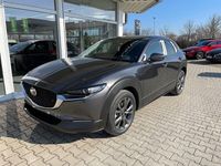 Gebraucht Mazda CX-30 Selection 186 PS (136 kW) 2023 Grau SUV