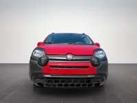 Neu Fiat Panda Cross Cross 69 PS (50 kW) 2026 Rot Kleinwagen