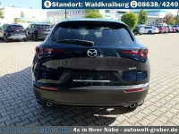 Neu Mazda CX-30 Homura-Line 140 PS (102 kW) 2026 Deep crystal blue SUV