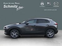 gebraucht Mazda CX-30 Exclusive-Line HUD Navi Klimaautom SHZ Rückfahrkam