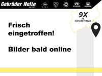 Gebraucht VW Golf VIII 116 PS (85 kW) 2023 Grau / Kombi