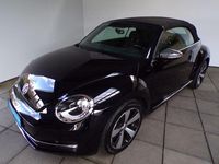Gebraucht VW Beetle Allstar 105 PS (77 kW) 2016 Schwarz Kleinwagen