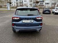 Gebraucht Ford Kuga ST-Line 150 PS (110 kW) 2022 Blau SUV