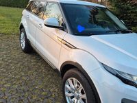 Gebraucht Land Rover Range Rover evoque 150 PS (110 kW) 2016 Weiß SUV