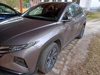 Gebraucht Hyundai Tucson Blackline 150 PS (110 kW) 2023 Braun SUV