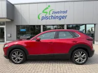 Gebraucht Mazda CX-30 Selection 179 PS (131 kW) 2020 Rot SUV