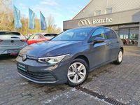 Gebraucht VW Golf VIII Life 131 PS (96 kW) 2023 Grau
