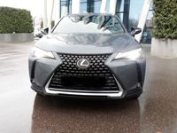 gebraucht Lexus UX 250h Executive 2WD