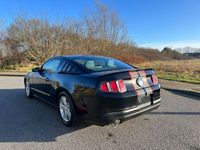 gebraucht Ford Mustang coupe