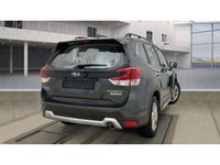 gebraucht Subaru Forester Comfort 2.0ie Mild-Hybrid WR Kamera