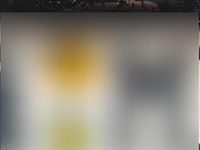 Gebraucht VW Eos 140 PS (102 kW) 2008 Schwarz Cabrio