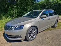 Gebraucht Skoda Octavia Soleil 150 PS (110 kW) 2019 Beige Kombi