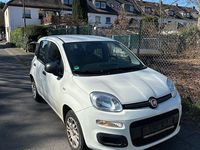 Gebraucht Fiat Panda 69 PS (50 kW) 2017 Weiß Kleinwagen