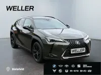 Gebraucht Lexus UX 250h 184 PS (135 kW) 2021 Gruen SUV