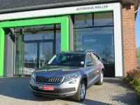 Gebraucht Skoda Kodiaq Style 150 PS (110 kW) 2019 Grau SUV