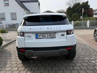 Gebraucht Land Rover Range Rover evoque 190 PS (139 kW) 2013 Weiß SUV