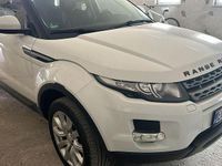 Gebraucht Land Rover Range Rover evoque Dynamic 150 PS (110 kW) 2014 Weiß SUV