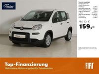 Gebraucht Fiat Panda 69 PS (50 kW) 2024 Weiss Kleinwagen