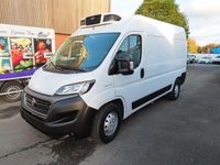 Gebraucht Fiat Ducato 140 PS (102 kW) 2020 Weiß Van