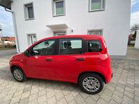 Gebraucht Fiat Panda 2017 Rot Kleinwagen