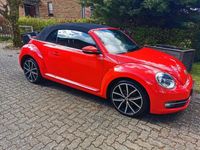 Gebraucht VW Beetle Cabriolet 105 PS (77 kW) 2013 Rot Cabrio