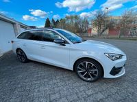 Gebraucht Cupra Leon 204 PS (150 kW) 2024 Weiß Kombi